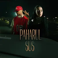 Nicole Cherry — Paharul Sus Ft Puya — обложка